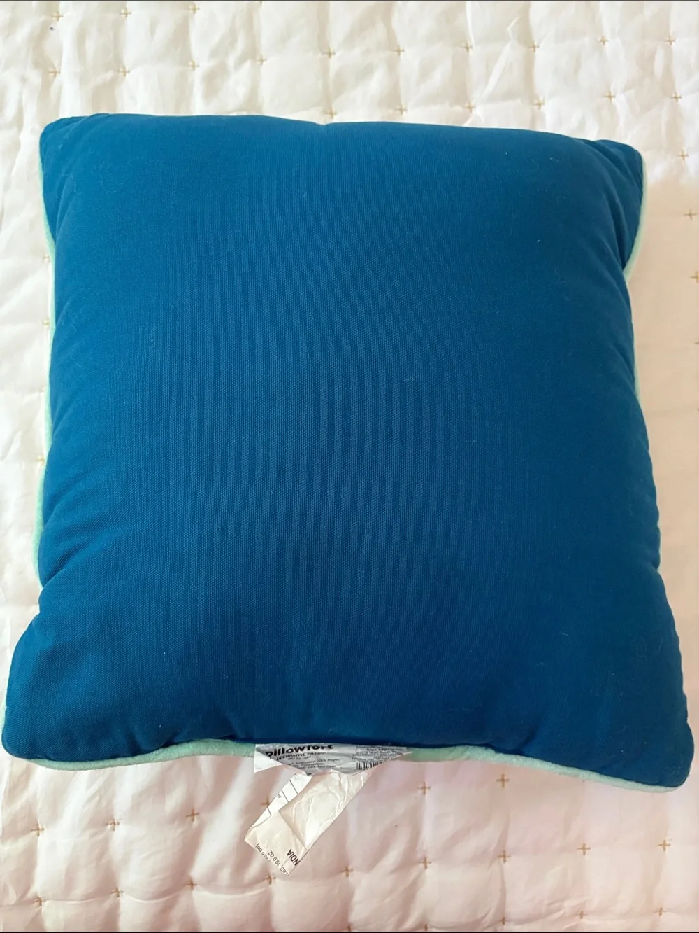 Pillowfort Embroidered 'Dream all night Adventure all day' Throw Pillow - Multi